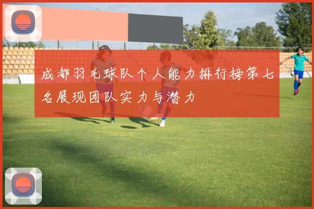 成都羽毛球队个人能力排行榜第七名展现团队实力与潜力
