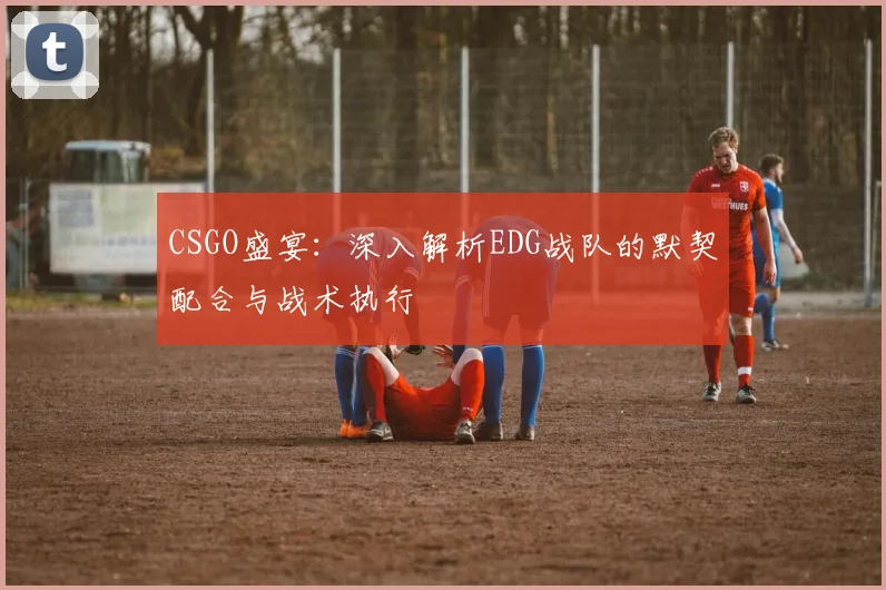 CSGO盛宴：深入解析EDG战队的默契配合与战术执行